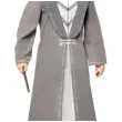 stroj dla doroslych harry potter dumbledore amscan rozm xl