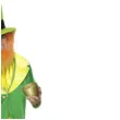 stroj dla doroslych leprechaun classic smiffys