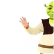 stroj dla dzieci shrek deluxe smiffys rozm s