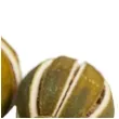 susz dekoracyjny limonki cale czakos 5 cm 4 szt