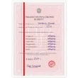 swiadectwo wyjatkowej kobiety 8 marca a4