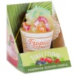 swieca zapachowa tutti frutti karaibska bryza bartek candles 80 mm