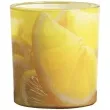 swieca zapachowa w szkle citronella bolsius 80 72 mm