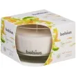 swieca zapachowa w szkle t m mango i bergamotka bolsius 63 90 mm