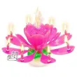 swieczka kwiatek grajacy sto lat rozowa