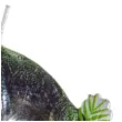 swieczka na tort dinozaur tyranozaur godan