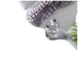 swieczka na tort dinozaur tyranozaur godan