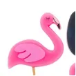 swieczki na tort flamingi i tukany givi 4 szt