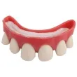 sztuczne zeby aparat ortodontyczny ptitclown