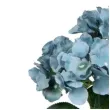 sztuczny kwiat bukiet hortensja niebieska bomm 45 cm