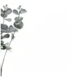 sztuczny kwiat galazka eukaliptusa partydeco 60 cm
