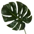 sztuczny kwiat lisc monstera deliciosa bomm 70 cm