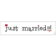 tablica rejestracyjna just married biala partydeco 10szt