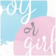 talerzyki papierowe boy or girl balony rozowo blekitny godan 23 cm 8 szt