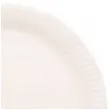 talerzyki papierowe coconut bialy amscan 23 cm 8 szt