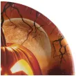 talerzyki papierowe dynia halloween santex 23 cm 10 szt