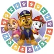 talerzyki papierowe paw patrol amscan 18 cm 8 szt