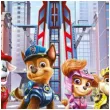 talerzyki papierowe paw patrol the movie procos 23 cm 8 szt