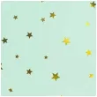 talerzyki papierowe zlote gwiazdki mietowy partypal 18 cm 6 szt