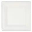talerzyki trzcina cukrowa go green aprex 15x15cm 6 szt