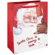 torebka prezentowa swiety mikolaj santa claus is coming back to town partypal 23x18 cm