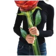 wielki balon w ksztalcie rozy na prezent walentynkowy i nie tylko 150 cm