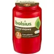 wklad olejowy premium 2 dni czerwony bolsius 95 mm