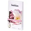 wosk zapachowy platki true scents magnolia bolsius 6 szt