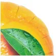 xx balon ibrex hel okr gly 14 oranges 5 szt