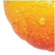 xx balon ibrex hel okr gly 14 oranges 5 szt