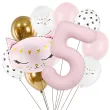 xx balony 5 urodziny kotek