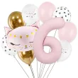xx balony 6 urodziny kotek