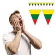 xx baner panstwa swiata litwa