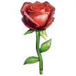 xx bfk balon foliowy roza 37x76 cm