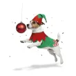 xx christmas elf dog size s