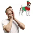 xx christmas elf dog size s