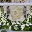 xx dek drew ihs komunia winogrono
