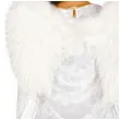 xx feather angel wings 60x40 cm