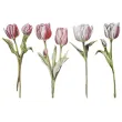 xx flower letter tulipany 629150