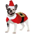 xx noel costume for pets s