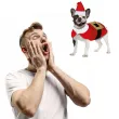 xx noel costume for pets s