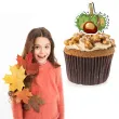 xx pikery jesien mix 6szt