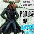 xx poszewka podusz los losiemnastolatek 18