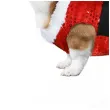 xx sequin christmas costume dog size s