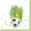 xx serwetki papierowe football with a star 33 x 33 cm 20 szt
