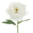 xx sztuczny kwiat piwonia 35 cm bialy