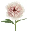 xx sztuczny kwiat piwonia 35 cm blady roz