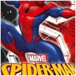 xx zta talerzyki papierowe spiderman world of web 23cm 8 szt