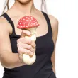 zabawka antystresowa grzyb muchomor gadgetmaster