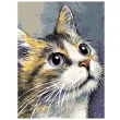 zestaw kreatywny do malowania po numerach kotek obraz diy 30 x 40 cm